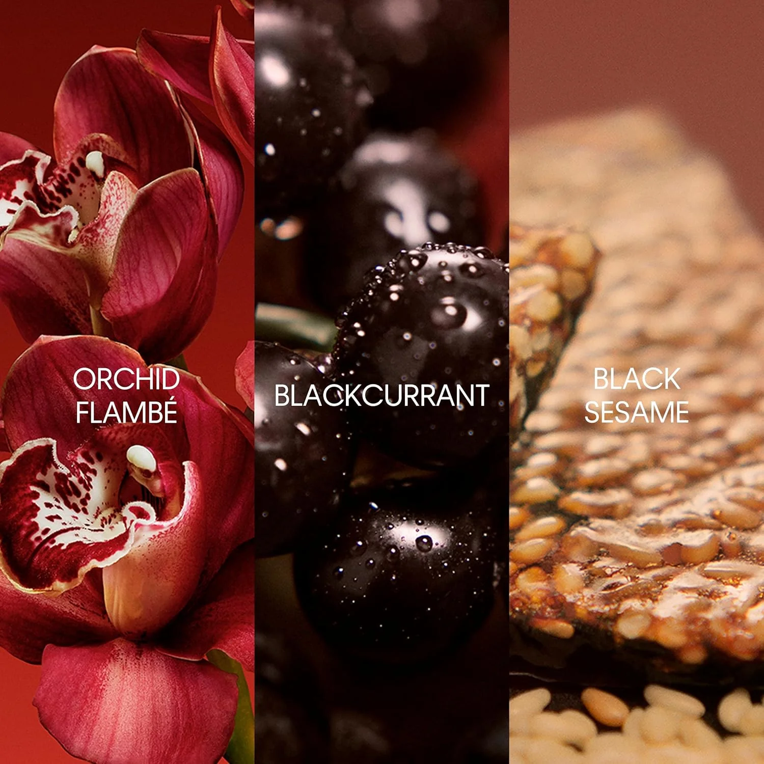 Calvin Klein My Euphoria Eau de Parfum 2pc Set - Image 5