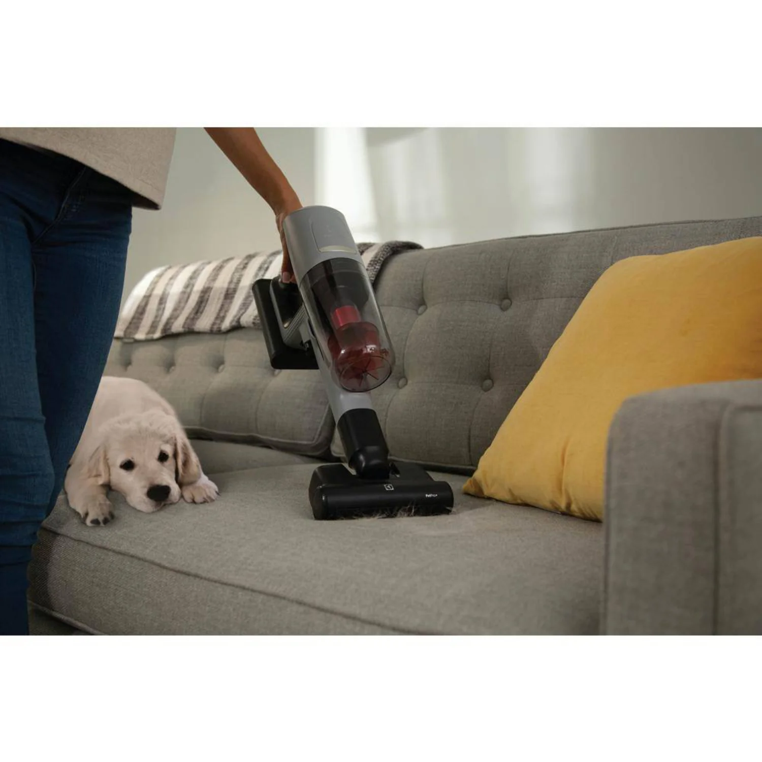 Electrolux EHVS85P3AG Ultimate800 Pet Cordless Stick Vacuum - Urban Gray - Image 3