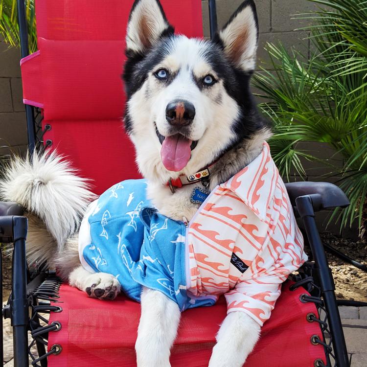 Eminence - Sharks & Stripes - Patriotic Blue Lens Polarized - Image 10