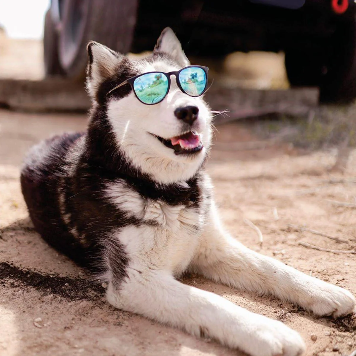 Hurricane - Matte Black - Sky Blue Polarized - Image 6