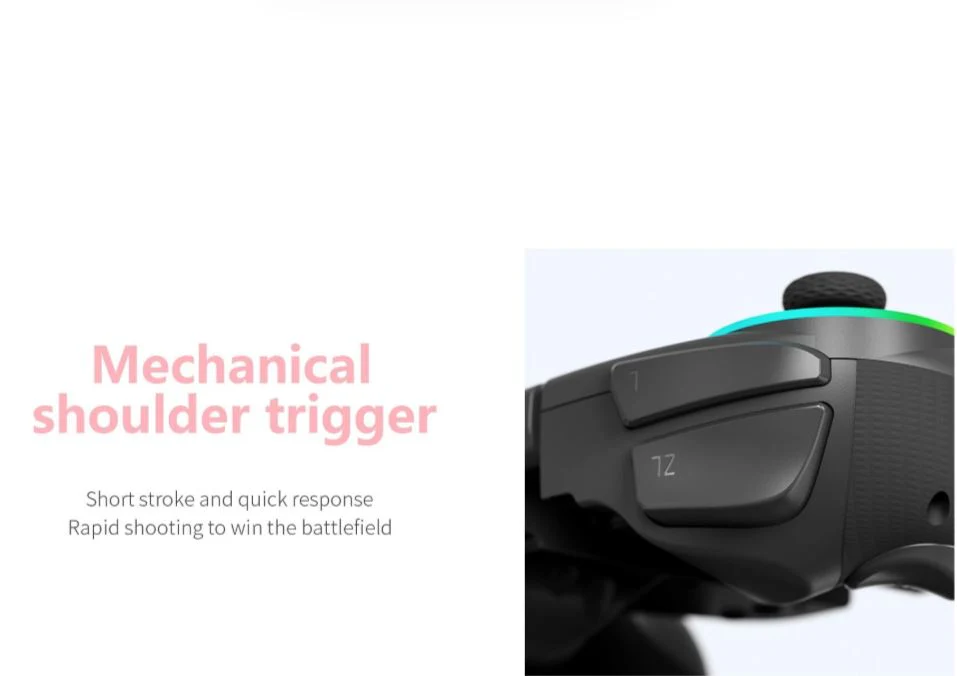 LinYuvo Retro Joy Cons Remote Gamepad for Nintendo Switch/OLED - Image 5