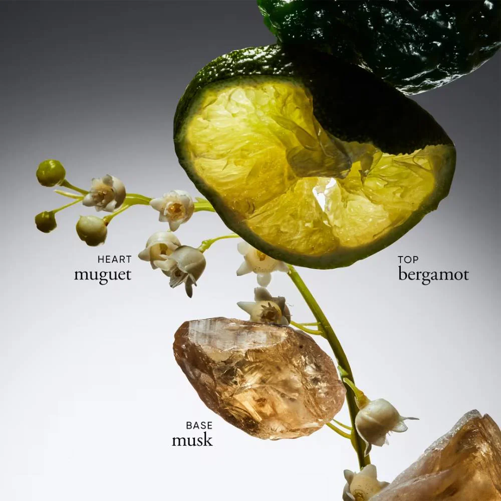 Philosophy Amazing Grace (3 Piece) Eau de Toilette Holiday Gift Set - Image 3