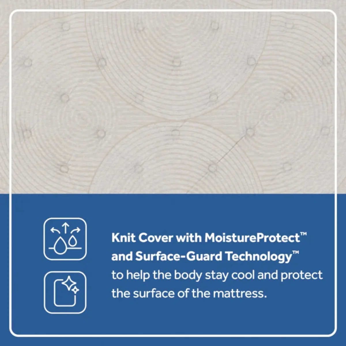 Sealy Dream Waves 14" Soft Euro Pillow Top Mattress- Blue/White - Image 3