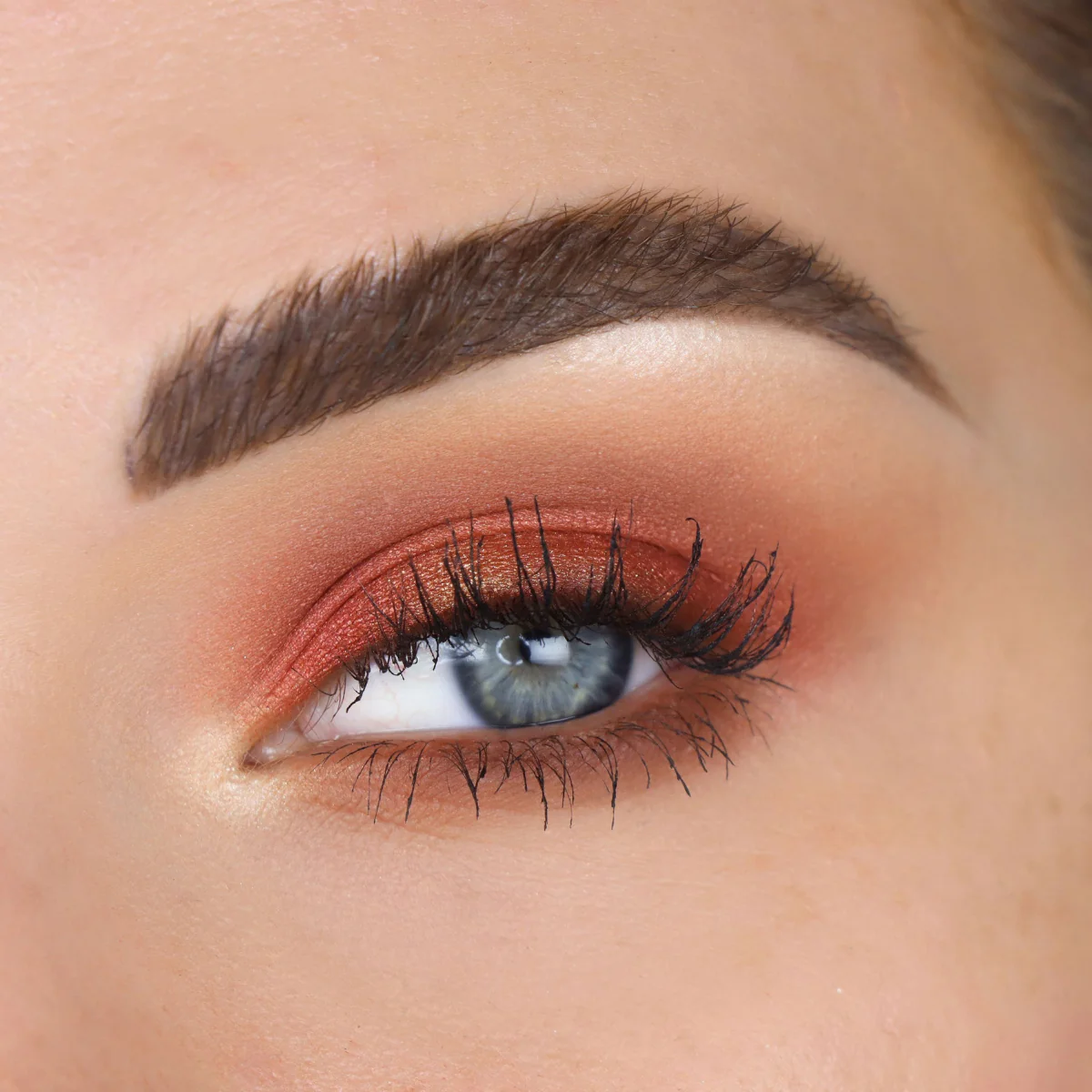 theBalm Male Order First Class Eyeshadow Palette - Image 4